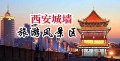 黑人狂插中国陕西-西安城墙旅游风景区